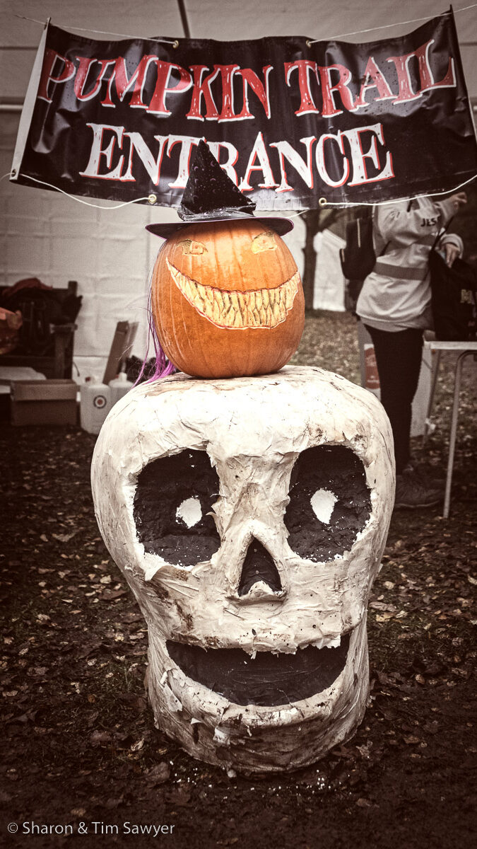 Pumpkin Trail photo 2