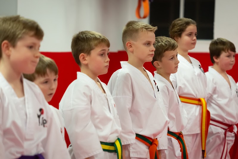 Taekwondo, Karate, and Kickboxing Classes photo 2