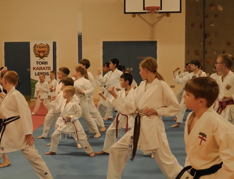Torii Karate Classes photo 2