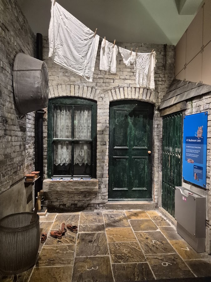 Weston Park Museum photo 5