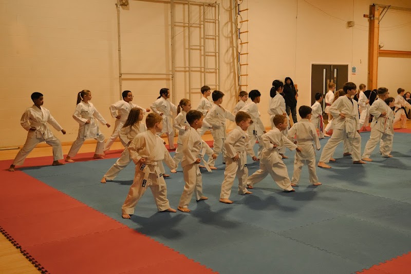 Torii Karate Classes photo 3