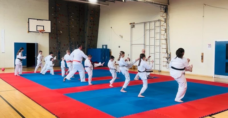 Torii Karate Classes at Torii Karate Kids