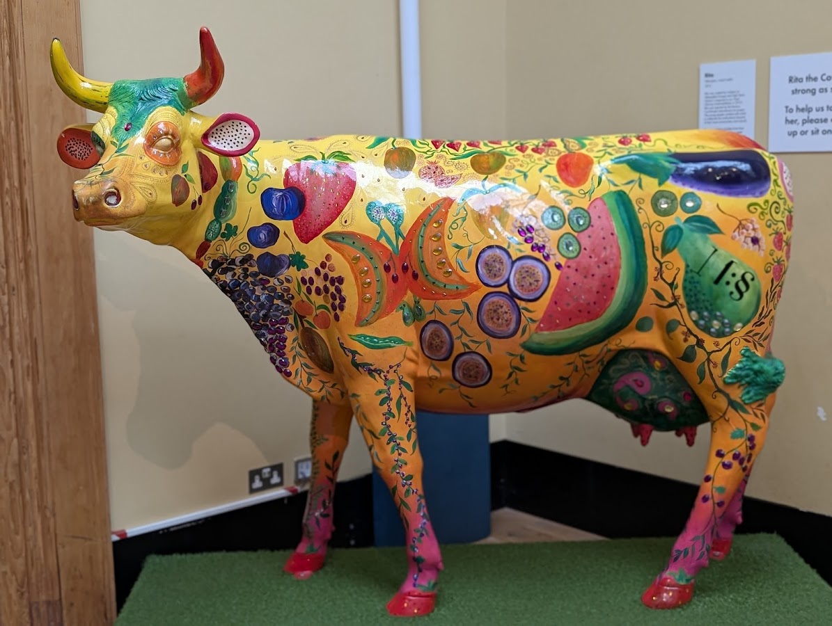 Weston Park Museum photo 4