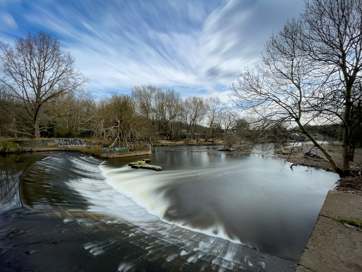 Kirkstall Valley Nature Reserve photo 5