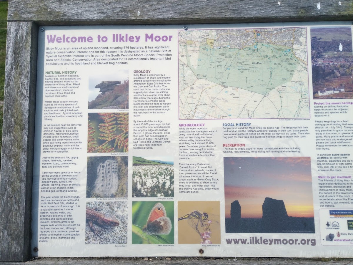 Ilkley Moor photo 2