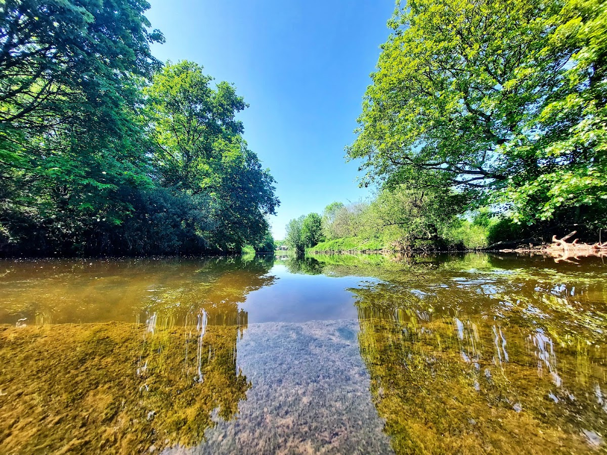 Kirkstall Valley Nature Reserve photo 4