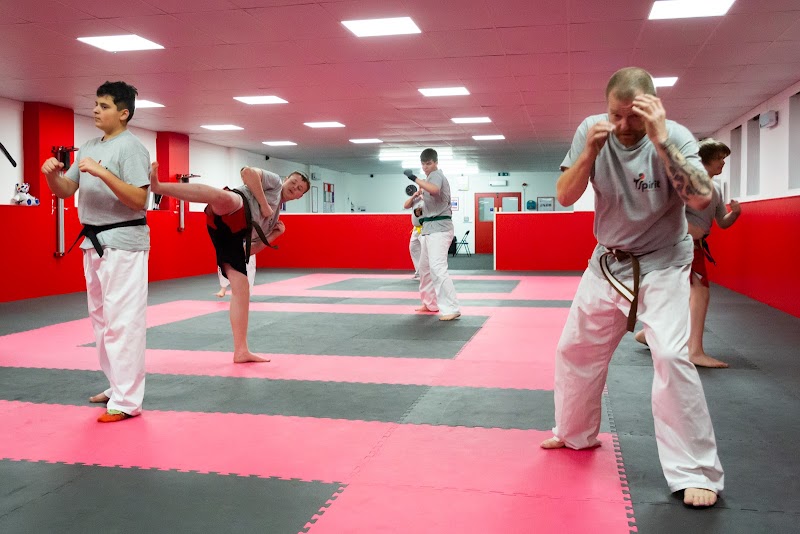 Taekwondo, Karate, and Kickboxing Classes at Spirit Martial Arts