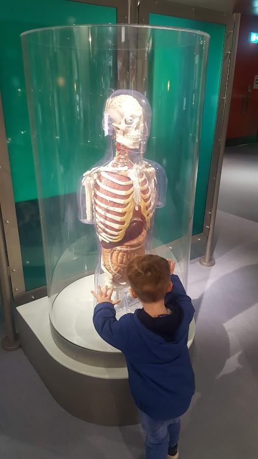 Eureka! The National Children's Museum photo 6