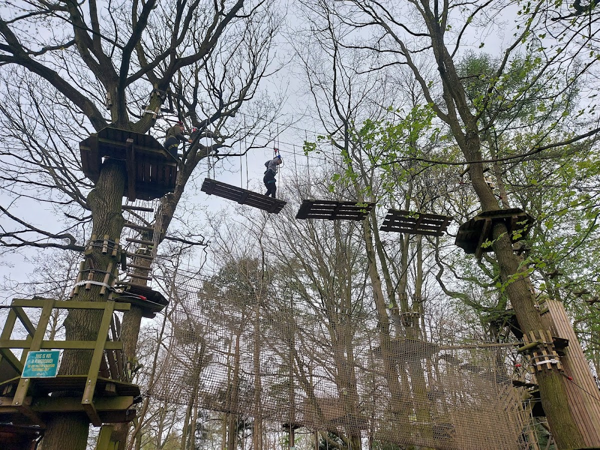 Go Ape Temple Newsam