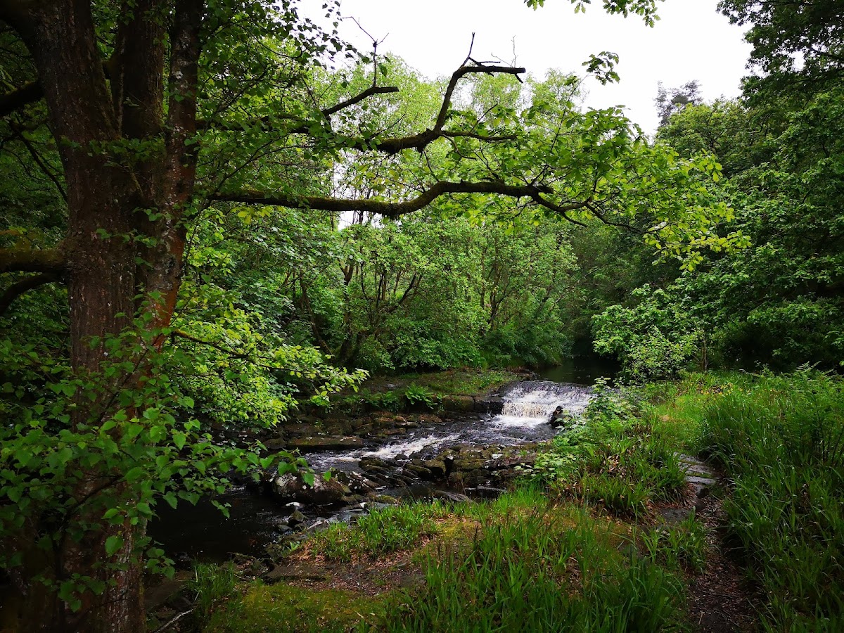 Hardcastle Crags