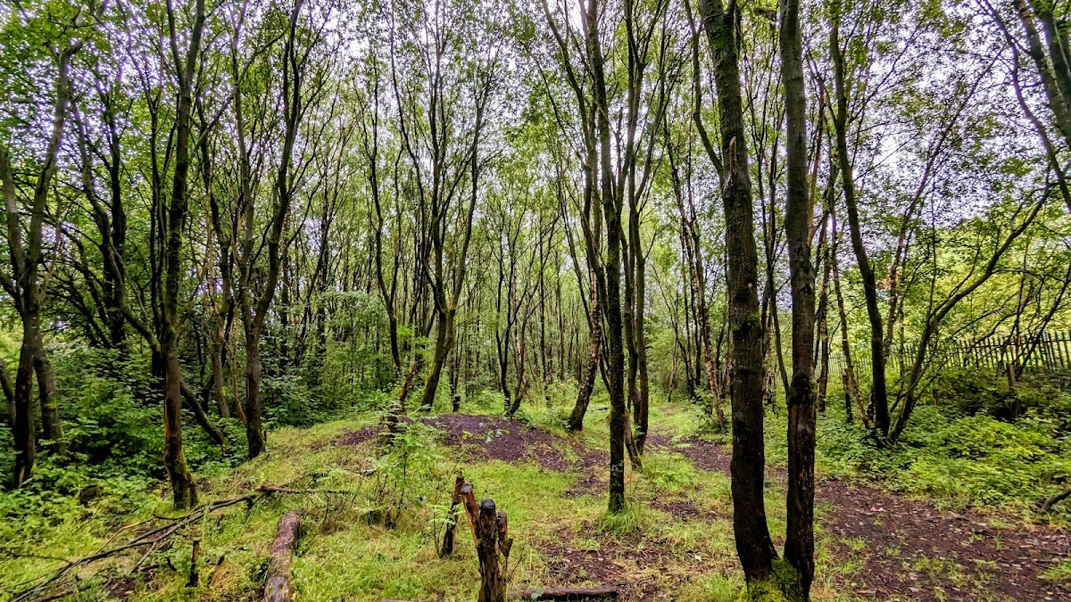 Moston Fairway Nature Reserve photo 2