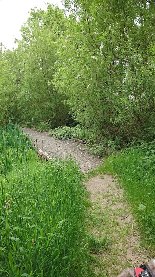 Fullwood Nature Reserve and Community Garden photo 3