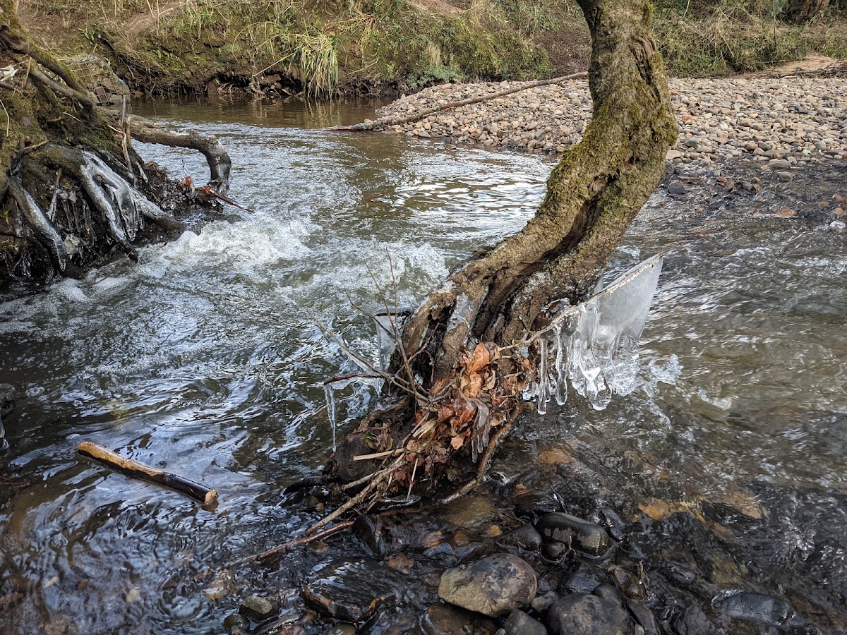 Happy Valley Nature Reserve photo 2