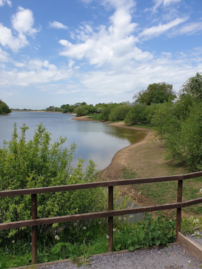 Jacksons Brickworks Local Nature Reserve photo 3