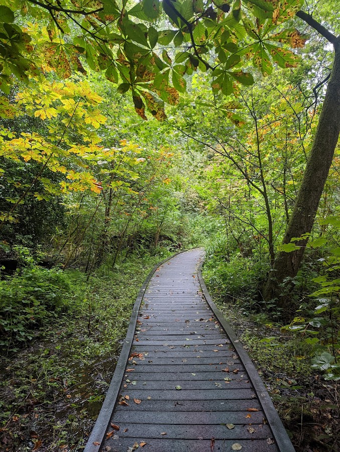 Eastwood Nature Reserve photo 2