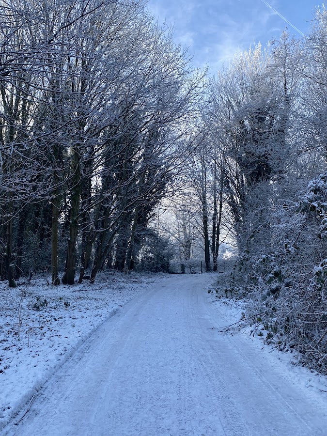 Partington Nature Reserve photo 4