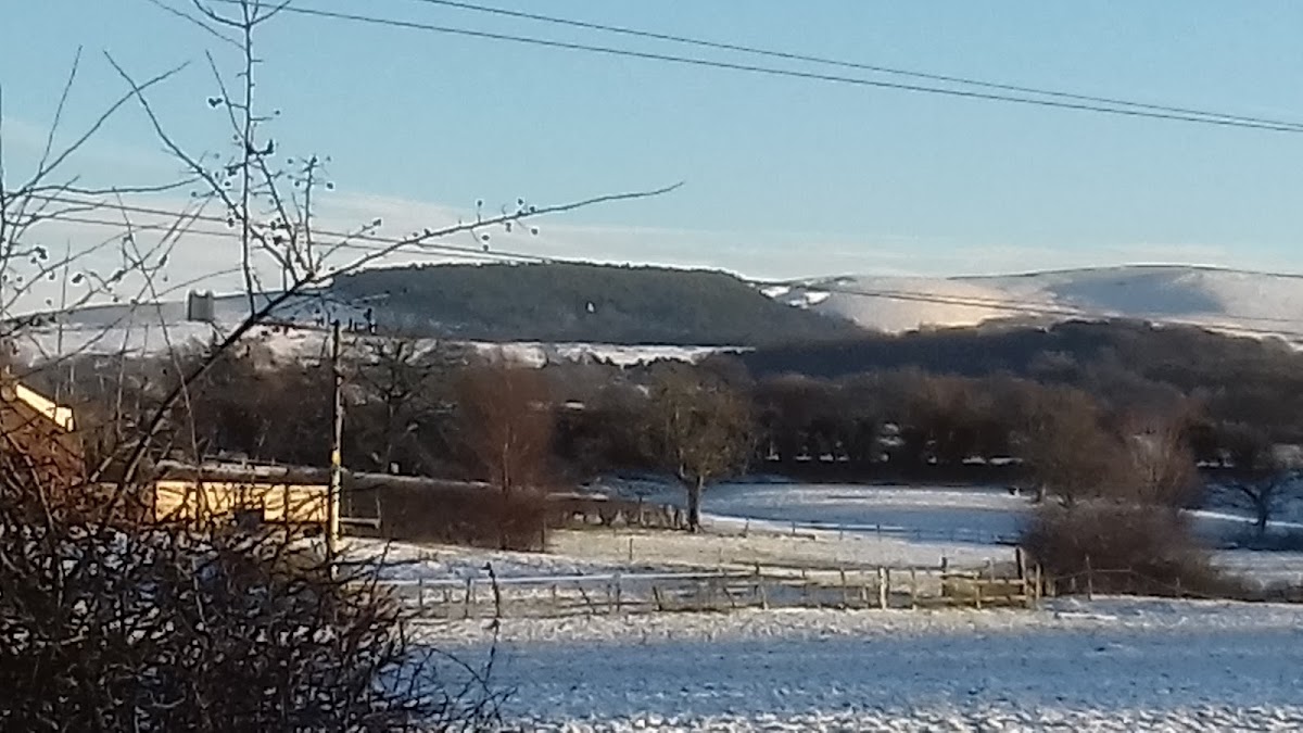 Jacksons Brickworks Local Nature Reserve photo 4