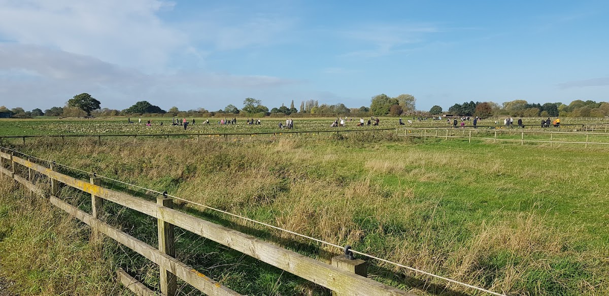 Farmer Berties photo 2