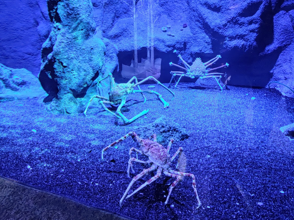 SEA LIFE Manchester photo 3