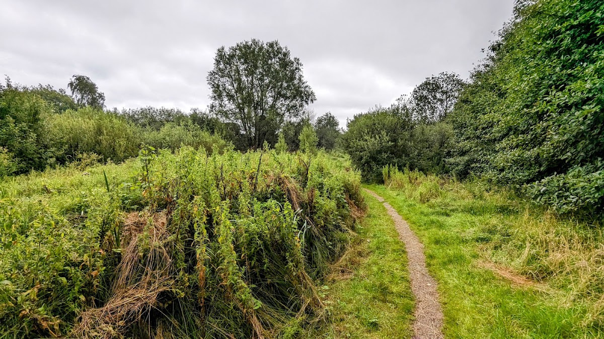 Moston Fairway Nature Reserve photo 3