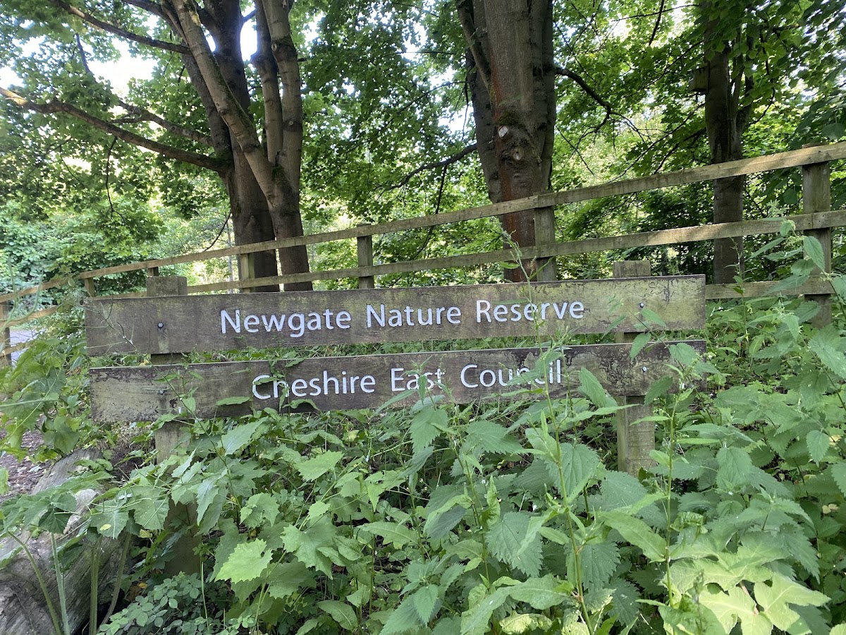 Newgate Nature Reserve photo 2