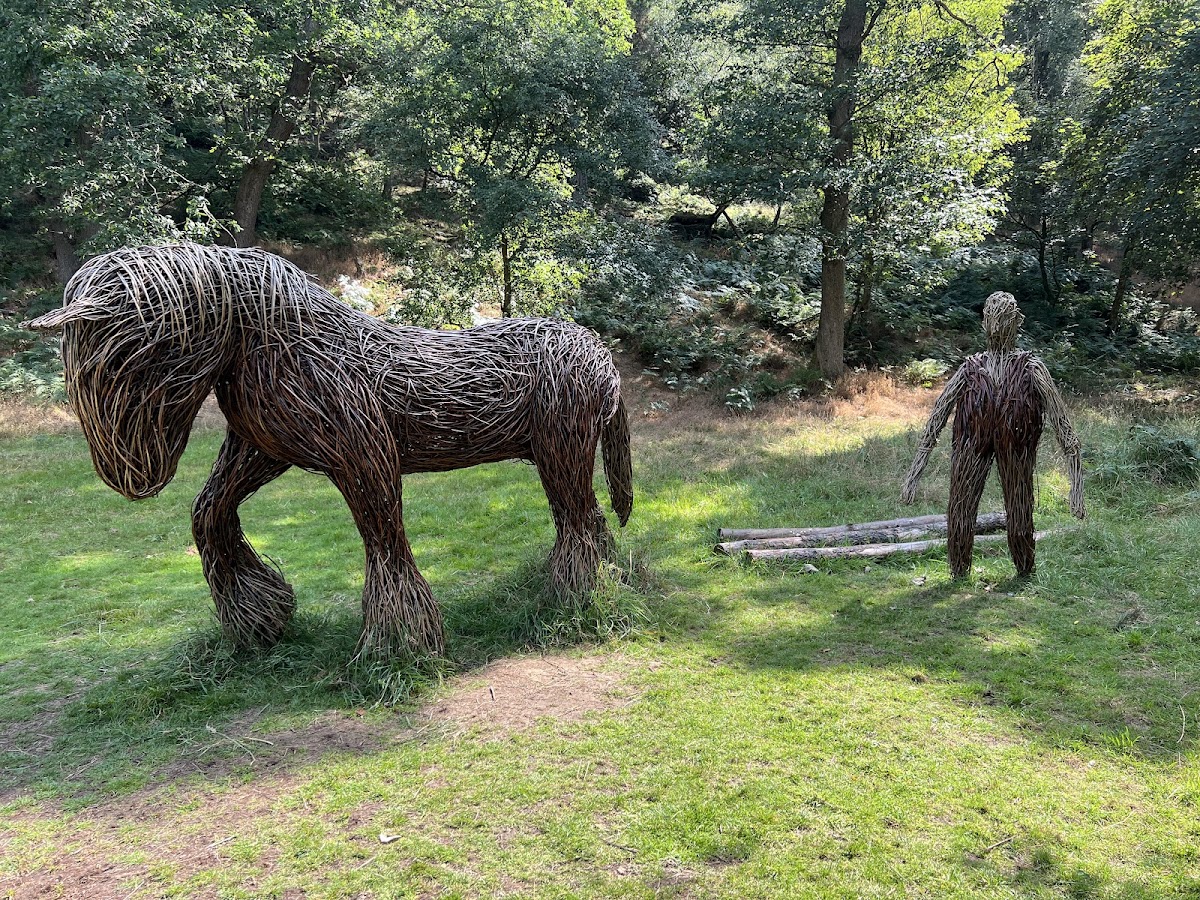 Hardcastle Crags photo 4