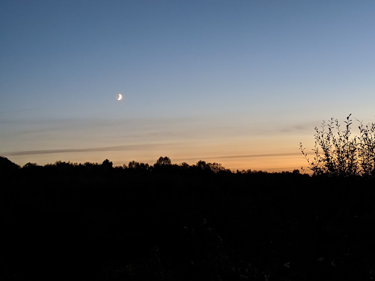 Newgate Nature Reserve photo 4