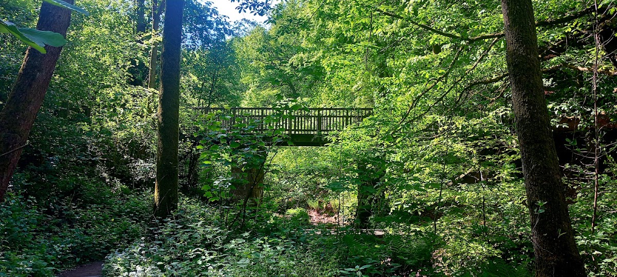 Eastwood Nature Reserve photo 3