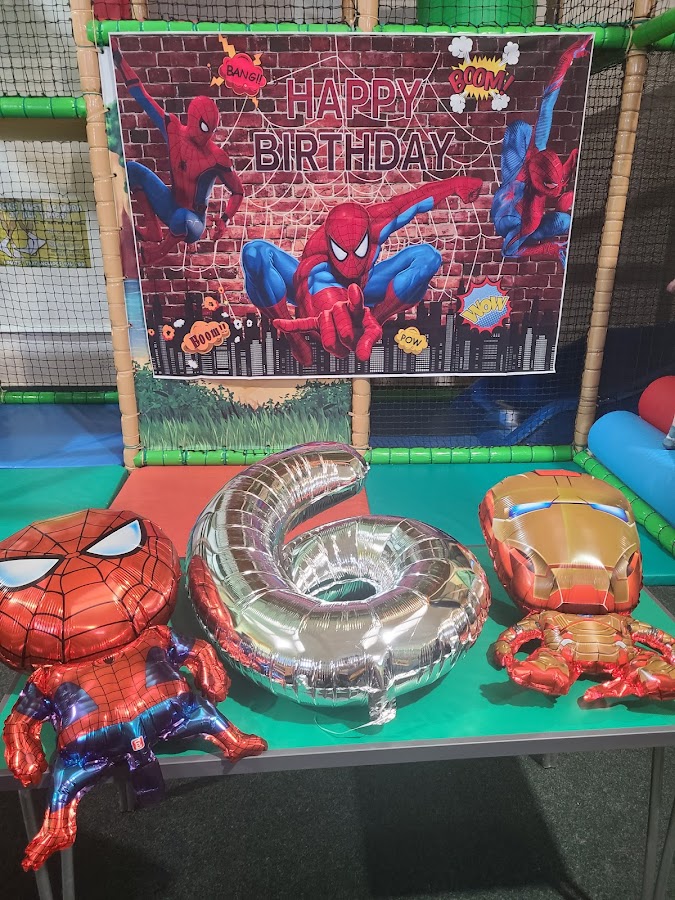 Wild Things Soft Play Centre photo 3