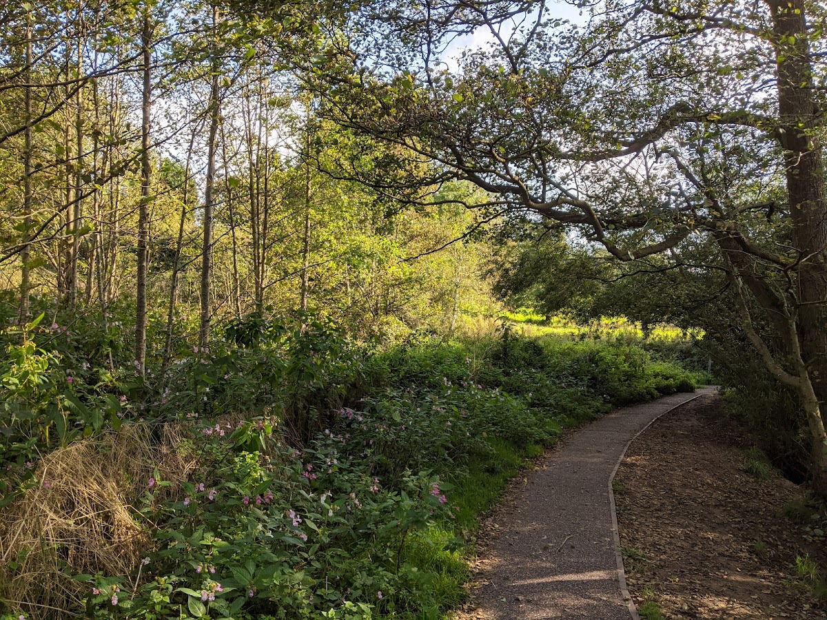 Happy Valley Nature Reserve photo 4