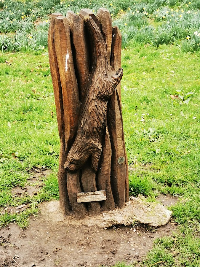 Buile Hill Park Playground photo 6