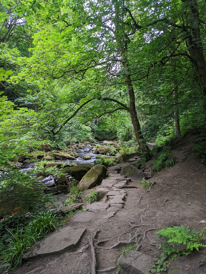 Hardcastle Crags photo 6