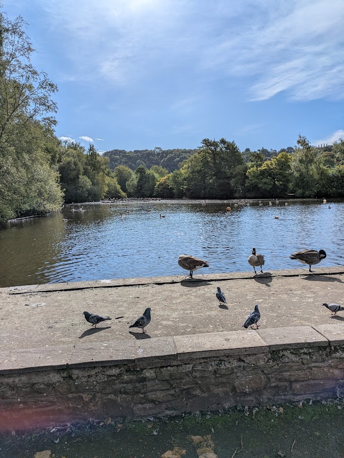 Happy Valley Nature Reserve photo 5