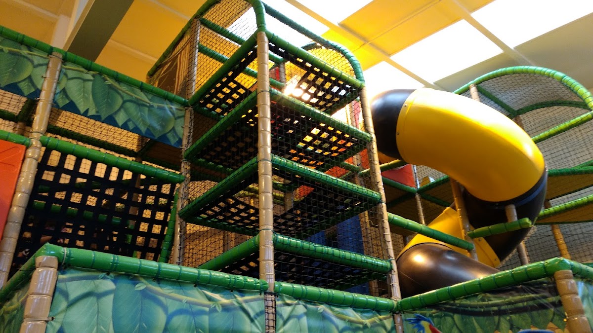 Wild Things Soft Play Centre photo 4