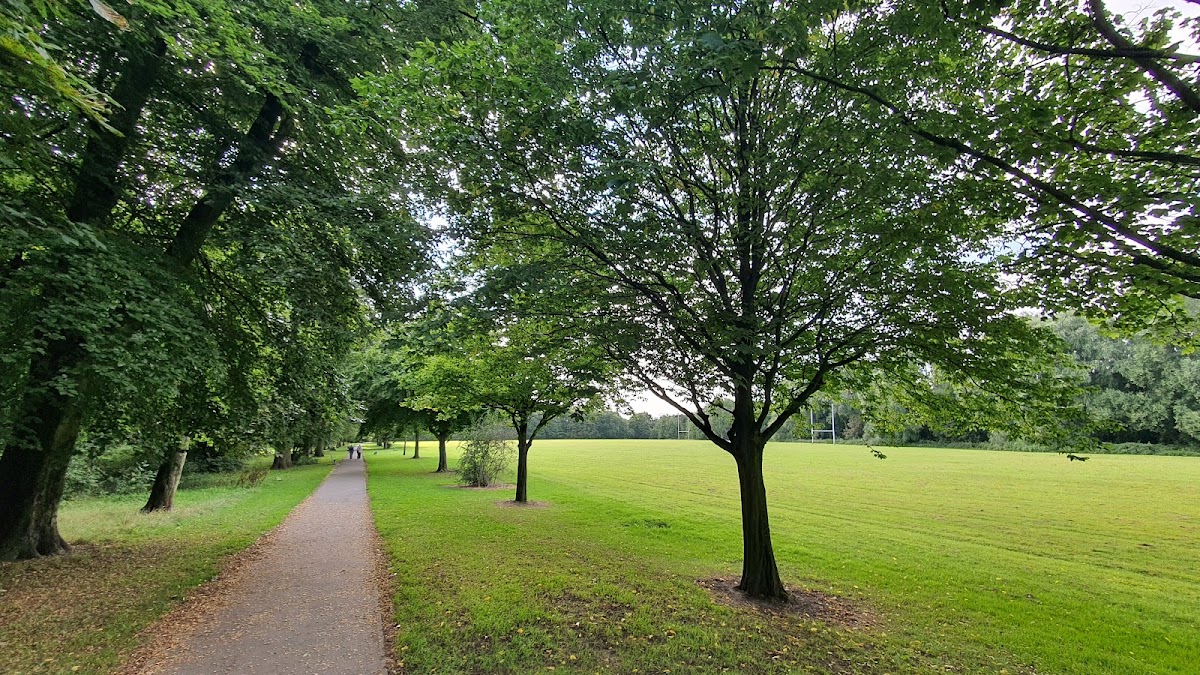 Buile Hill Park Playground photo 4