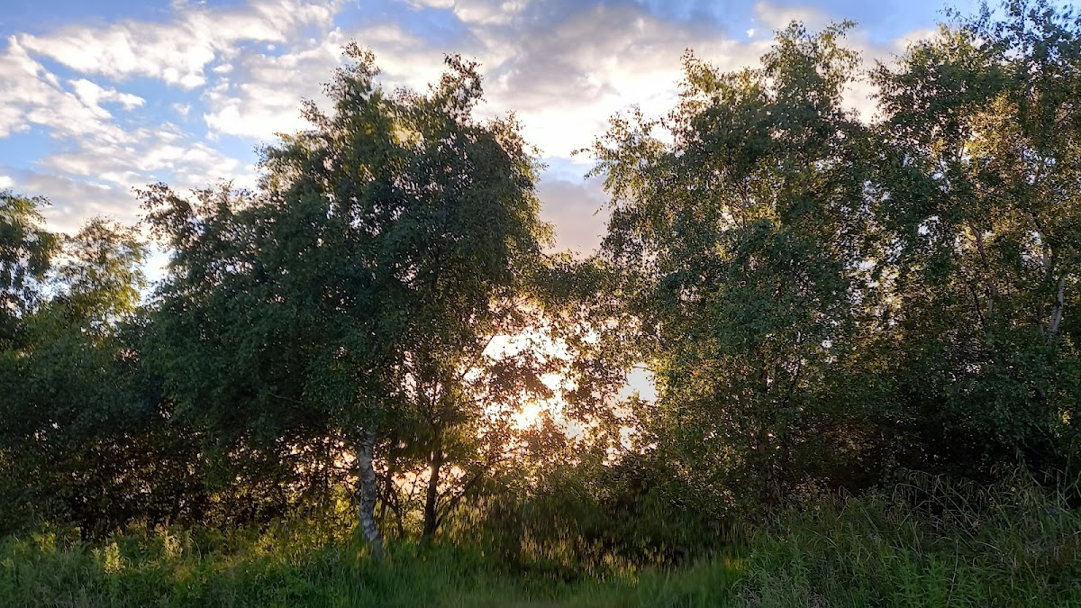 Fullwood Nature Reserve and Community Garden photo 2
