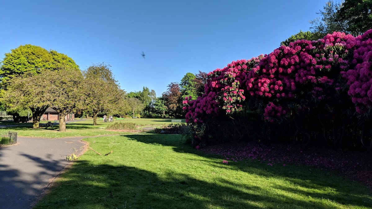 Walton Park photo 5