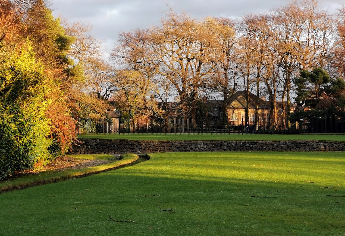 Alexandra Park Children's Play Area photo 3
