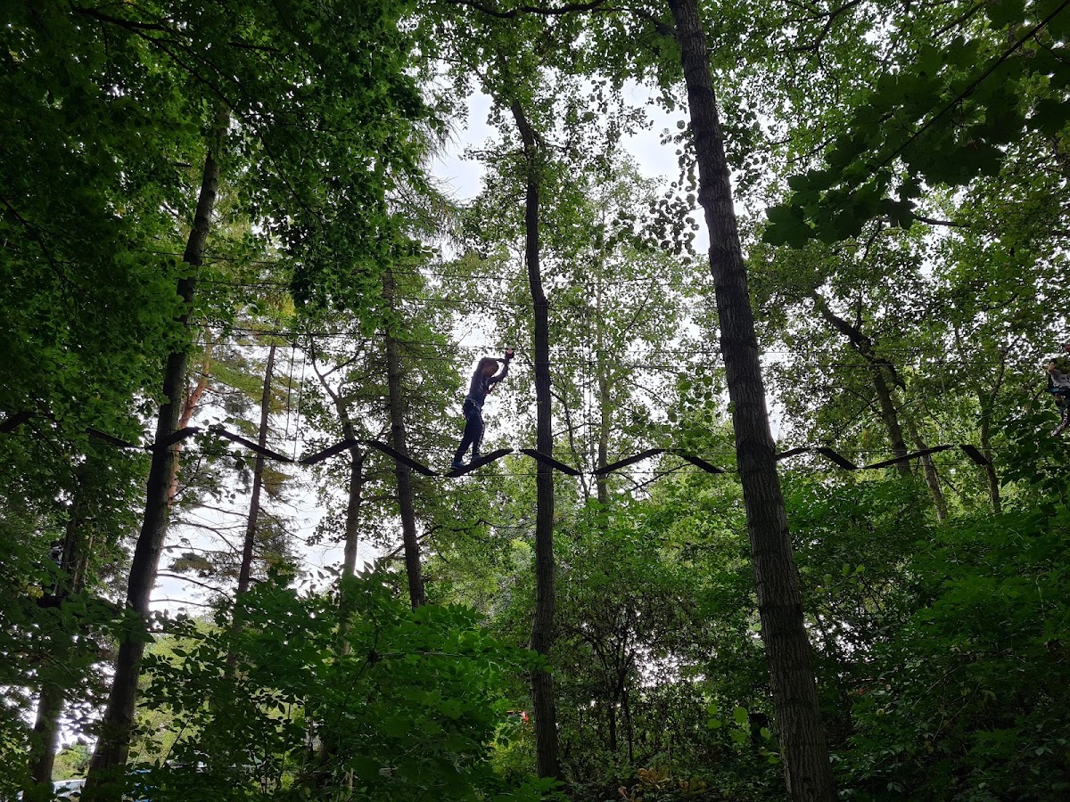 Go Ape Temple Newsam photo 5