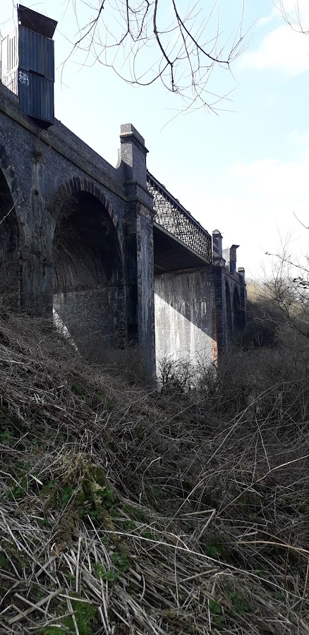 Partington Nature Reserve photo 3
