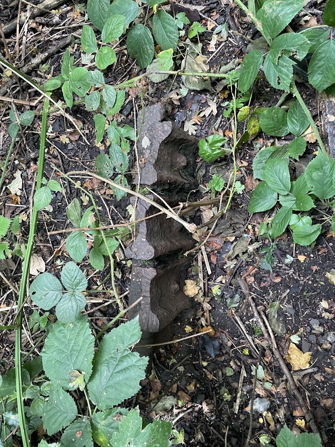 Partington Nature Reserve photo 6