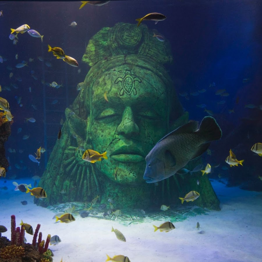 SEA LIFE Manchester photo 2
