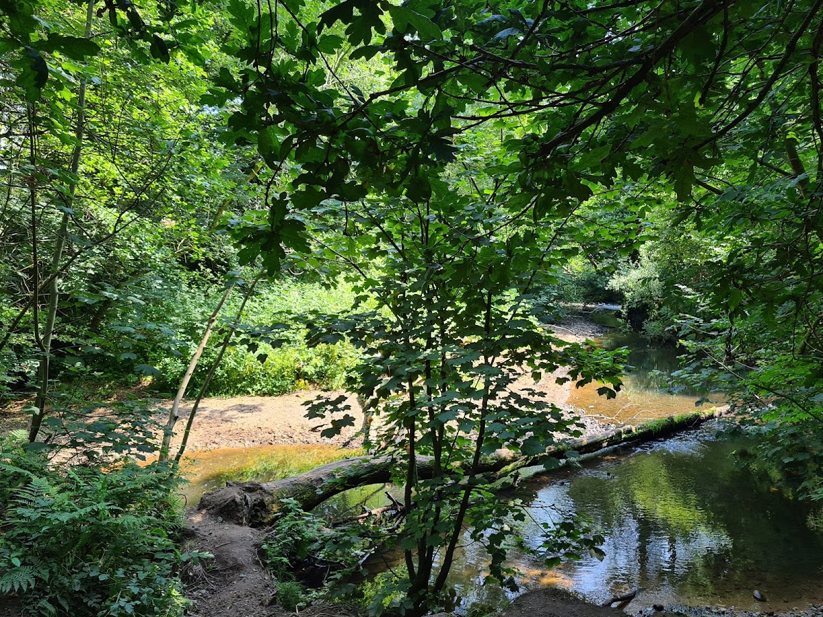 Happy Valley Nature Reserve photo 6