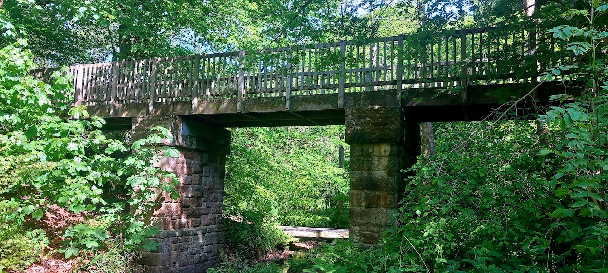Eastwood Nature Reserve photo 4