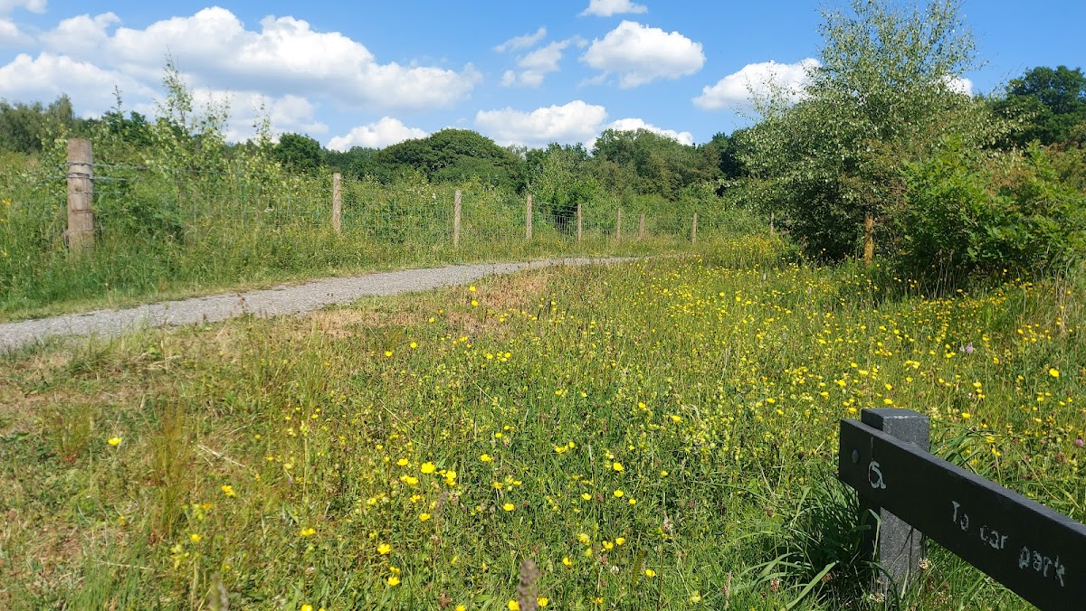 Jacksons Brickworks Local Nature Reserve photo 6