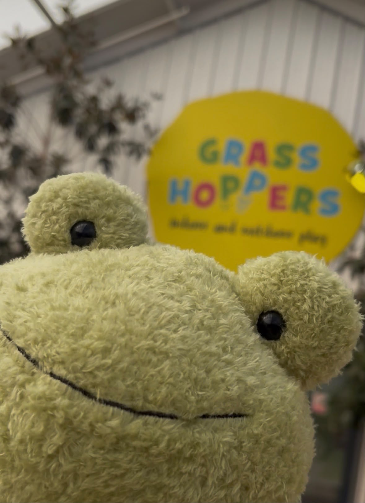 🦡 One Snowy Night, A Wintery Maths Adventure | Grasshoppers at Tingley, Garden Centre | October Special