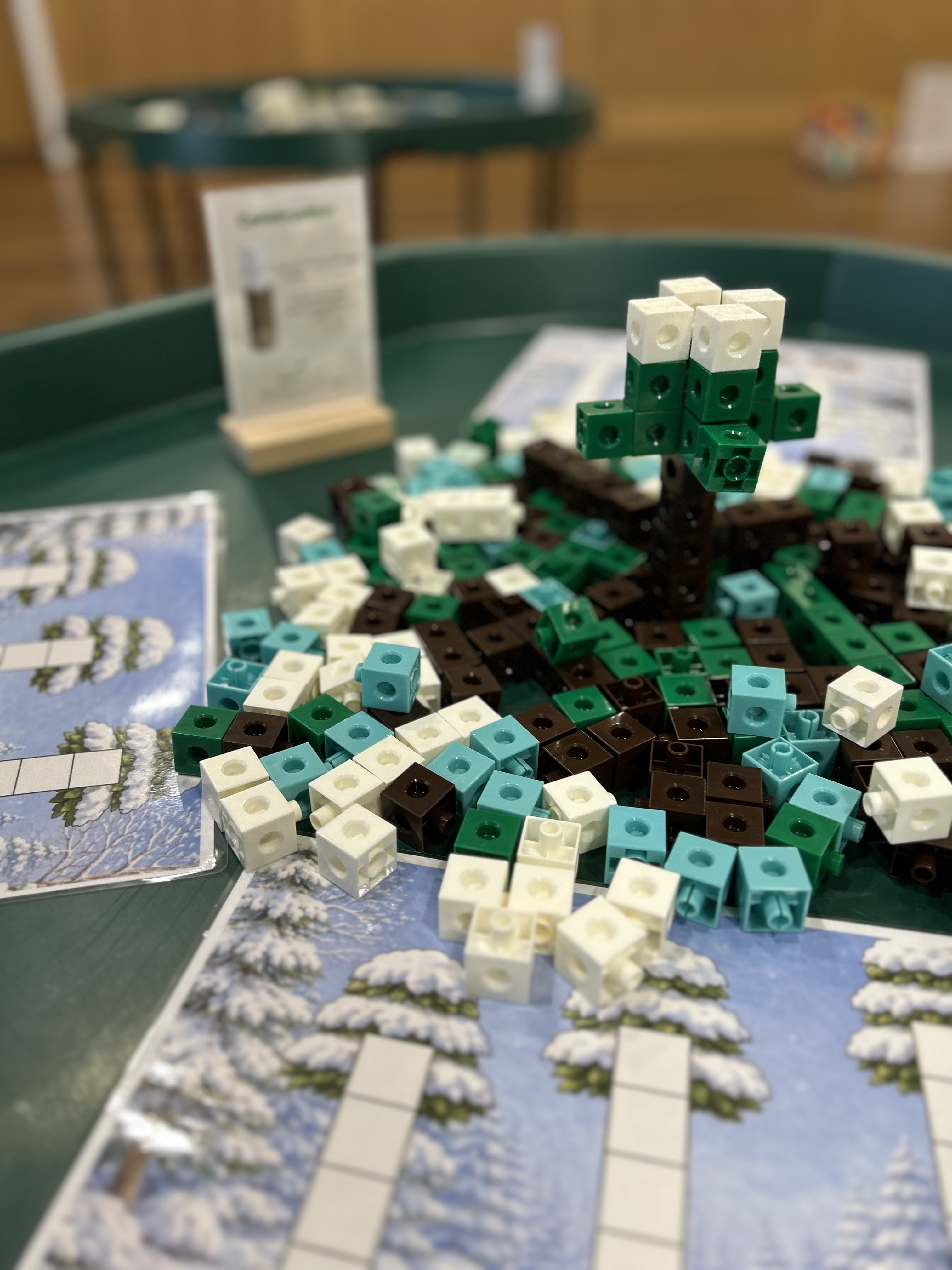 🦡 One Snowy Night, A Wintery Maths Adventure | Grasshoppers at Tingley, Garden Centre | October Special photo 4