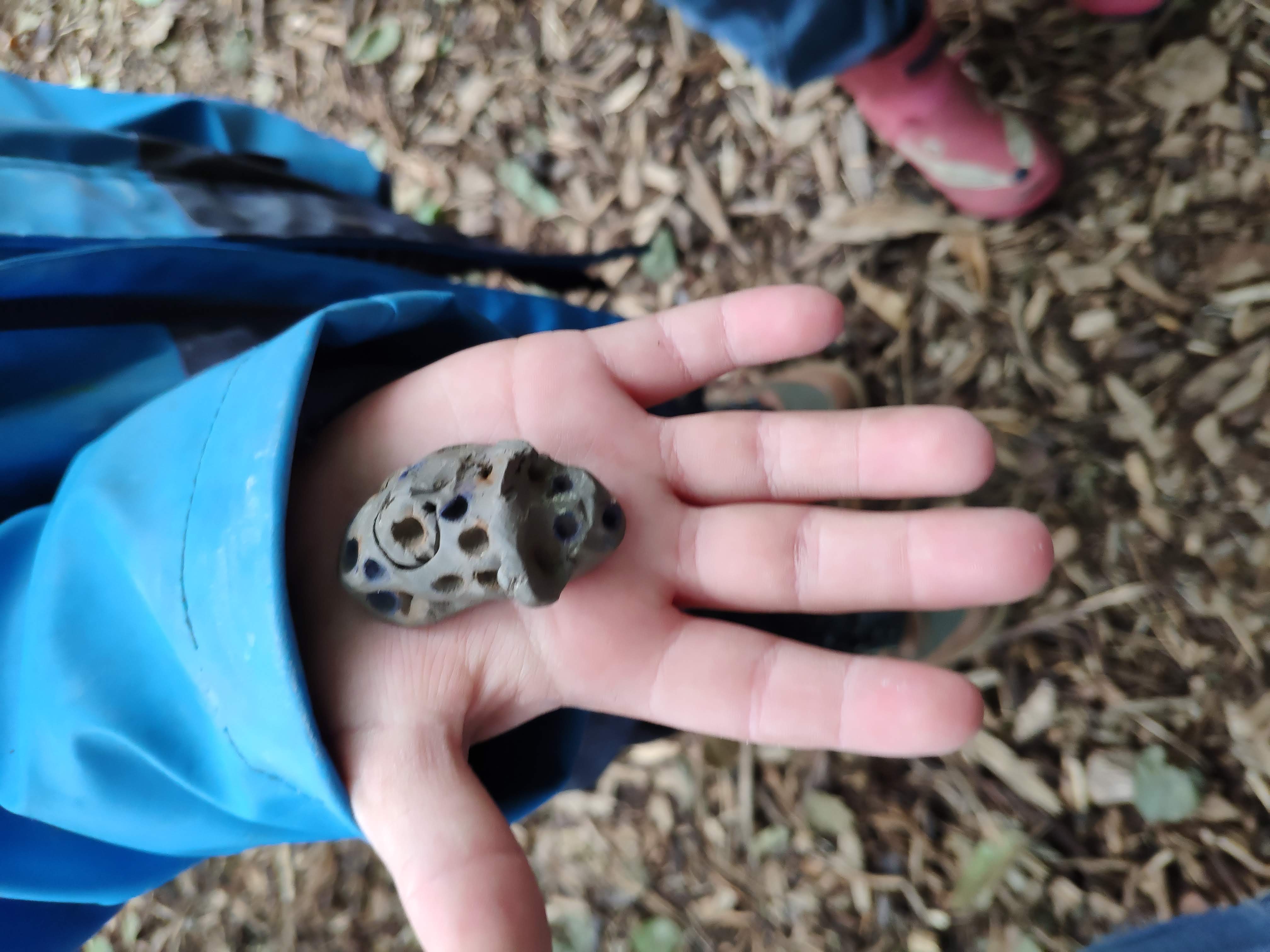 Green Explorers photo 5