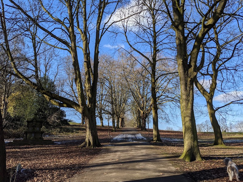 Clarence Park photo 3