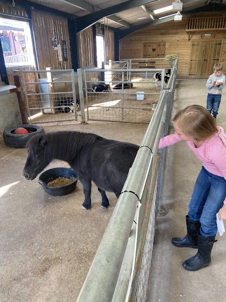 Wentworth Family Farm photo 3